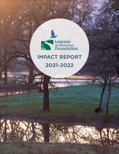 Laguna Foundation 2017-18 Annual Report